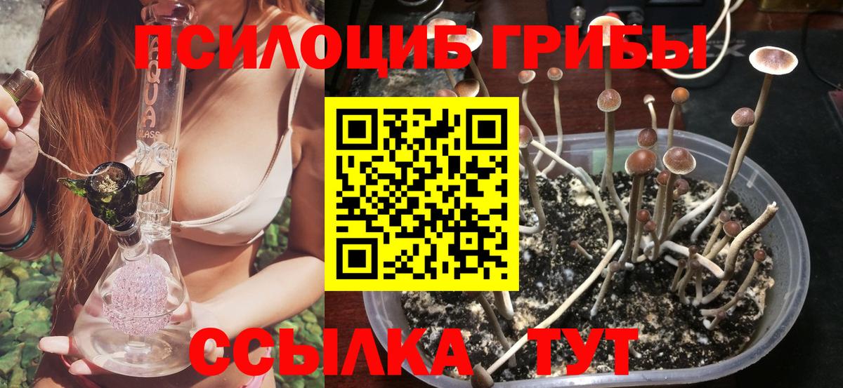 Псилоцибиновые грибы GOLDEN TEACHER Новоуральск