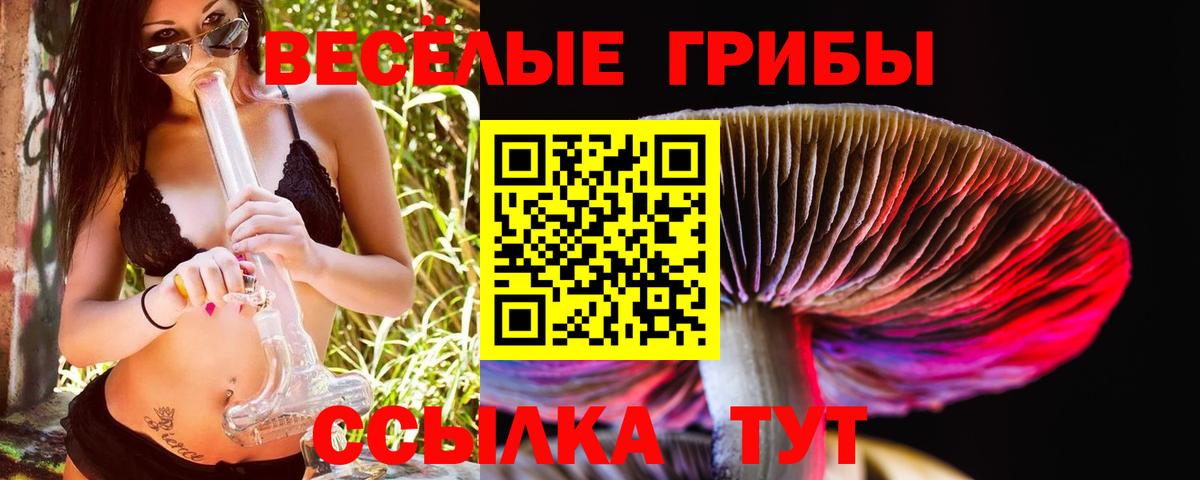 Новоуральск  Галлюциногенные грибы Magic Shrooms  Вход с VPN 